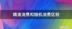 精准一次性消费 精准消费和随机消费区别