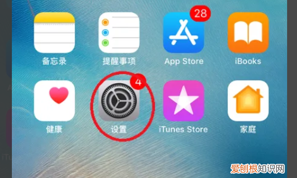 苹果手机上怎么看照片的内存大小