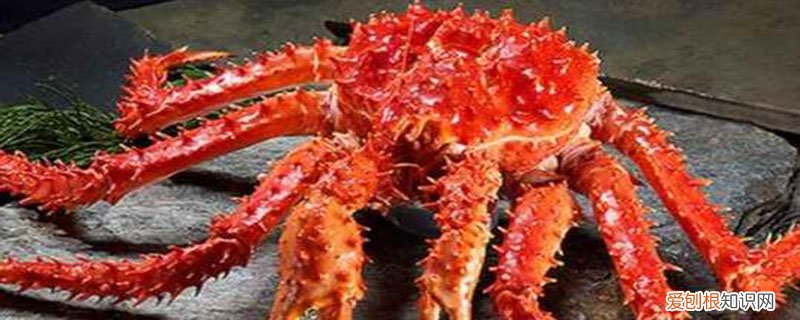 帝王蟹放冰箱是冷冻还是冷藏呢 帝王蟹放冰箱是冷冻还是冷藏