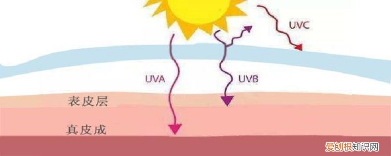 uv和ub是什么意思 uvb是什么意思啊