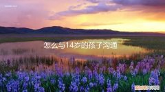 与14岁的儿子怎么交谈 怎么与14岁的孩子沟通