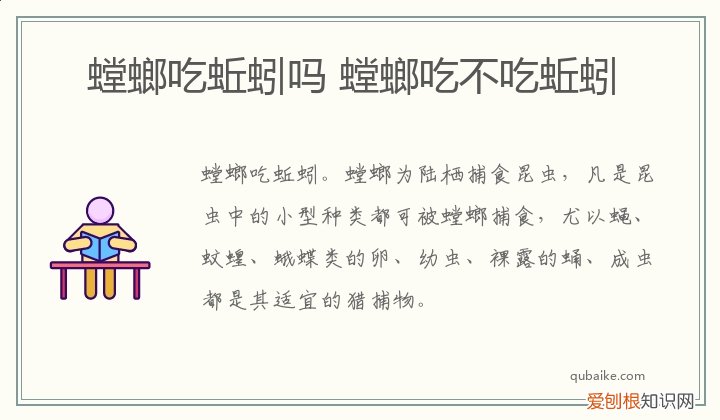 螳螂吃蚯蚓吗 螳螂吃不吃蚯蚓