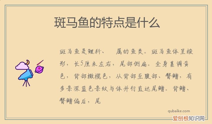 斑马鱼的特点是什么呢 斑马鱼的特点是什么
