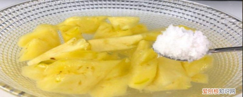 吃菠萝为什么要放盐蚂蚁森林 吃菠萝为什么要放盐