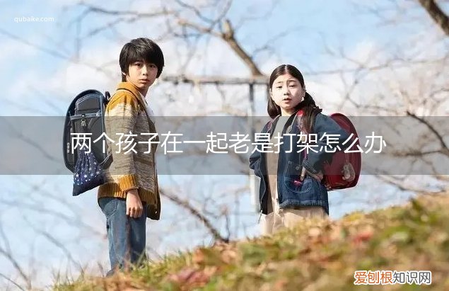两个孩子一直打架怎么办 两个孩子在一起老是打架怎么办