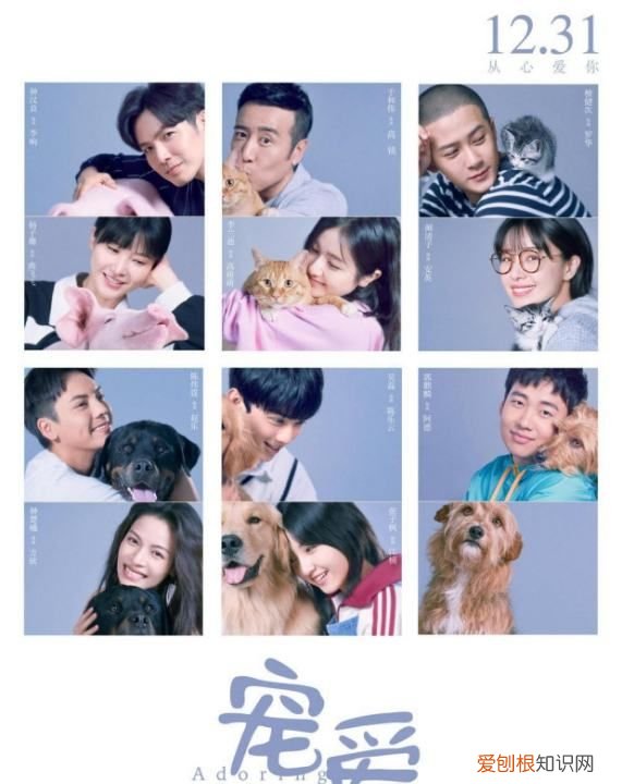 宠爱是什么类型的电影，电影宠爱讲的是什么内容