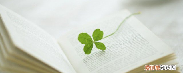 叶子书签怎么做 叶子书签制作方法分享