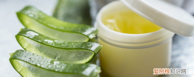 芦荟叶子怎么用 新鲜芦荟叶子怎么使用
