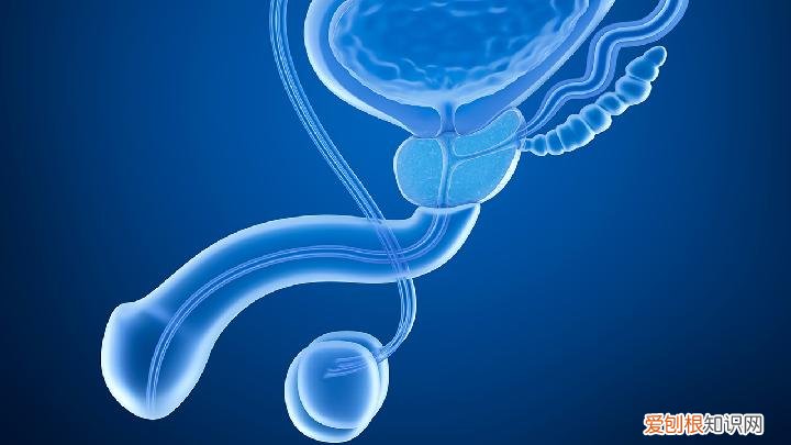 男人早泄影响性生活很苦恼，三种民间偏方帮助治疗早泄，治疗男性早些泄方法