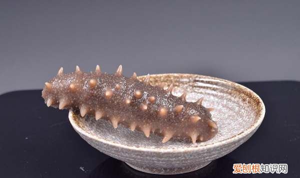 正确泡发海参的方法,海参泡发的正确方法