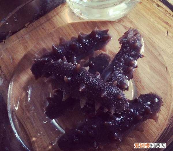 正确泡发海参的方法,海参泡发的正确方法
