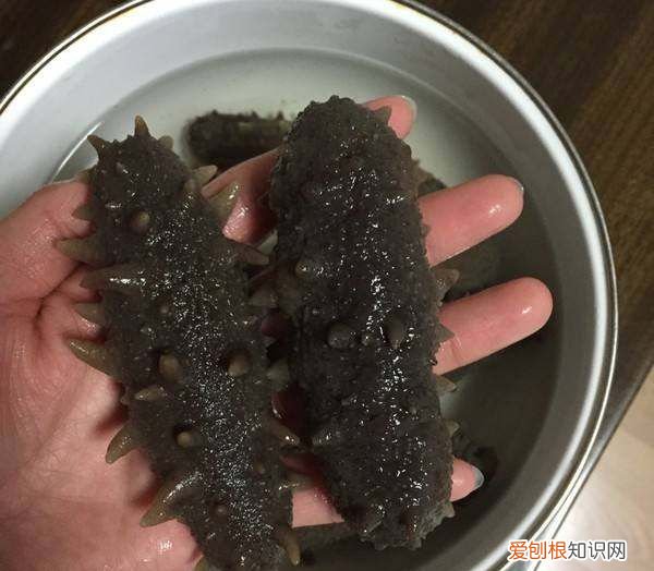正确泡发海参的方法,海参泡发的正确方法