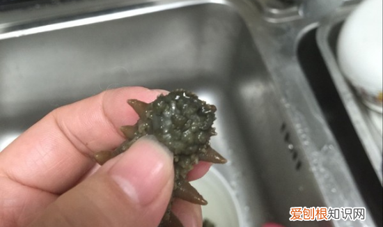 正确泡发海参的方法,海参泡发的正确方法