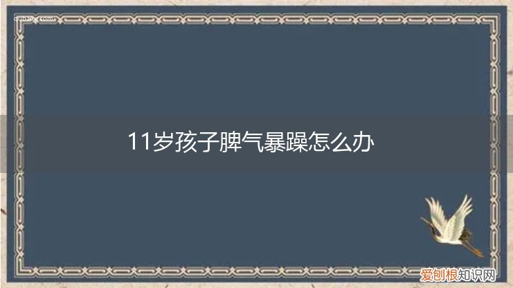 11岁的孩子脾气暴躁,性格有点偏激怎么办? 11岁孩子脾气暴躁怎么办