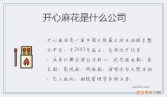 开心麻花公司简介 开心麻花是什么公司