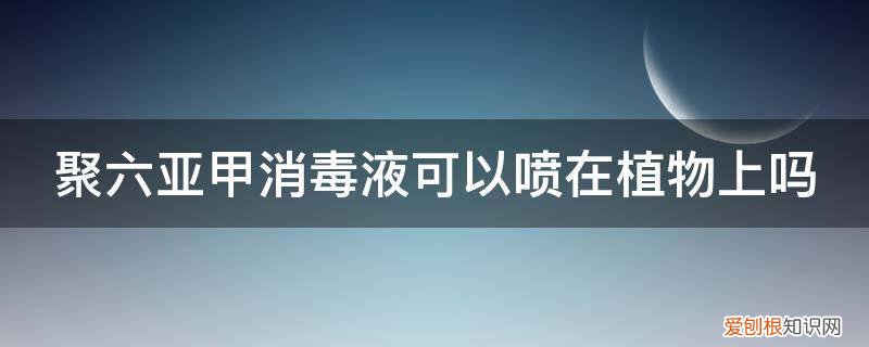 聚六亚甲基 消毒液 聚六亚甲消毒液可以喷在植物上吗