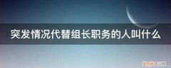 突发情况代替组长职务的人叫什么职位 突发情况代替组长职务的人叫什么