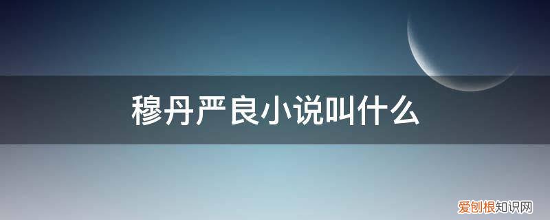 穆丹严良小说叫什么名字 穆丹严良小说叫什么