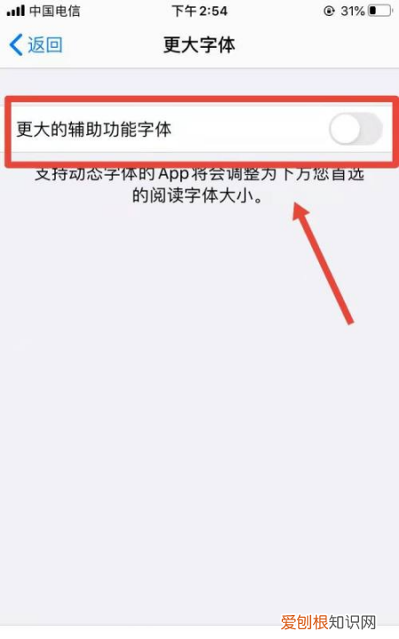 苹果手机字体大小要怎么设置