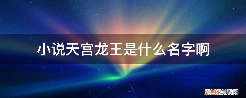 小说里面的人物叫龙王 小说天宫龙王是什么名字啊