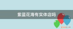 紫蓝花海有实体店吗多少钱 紫蓝花海有实体店吗