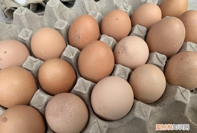 买鸡蛋时挑红皮的还是白皮的好 散养鸡蛋是红皮还是白皮