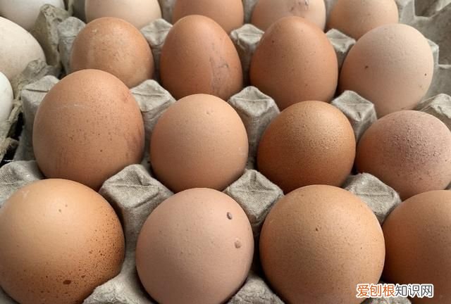 买鸡蛋时挑红皮的还是白皮的好 散养鸡蛋是红皮还是白皮