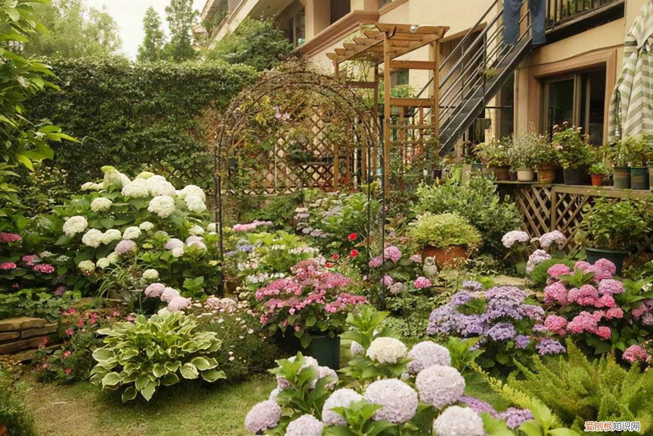 教你养花小技巧，养花技巧有很多，记住这5个方面的技巧，小白都能养好花