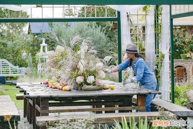 教你养花小技巧，养花技巧有很多，记住这5个方面的技巧，小白都能养好花