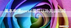 美国申请portal 美本申请portal里可以补充说明吗