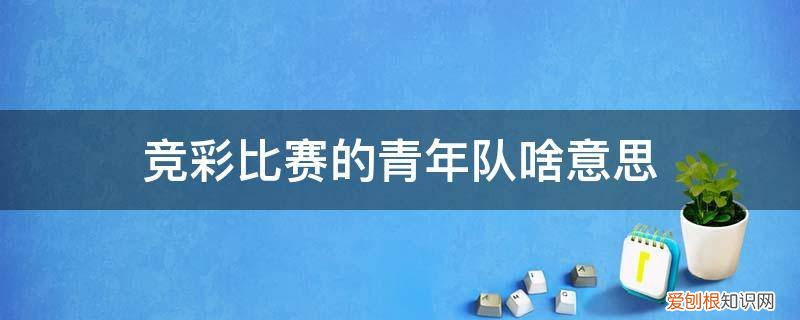 青少年锦标赛是什么意思 竞彩比赛的青年队啥意思