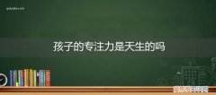 有专注力的孩子 孩子的专注力是天生的吗