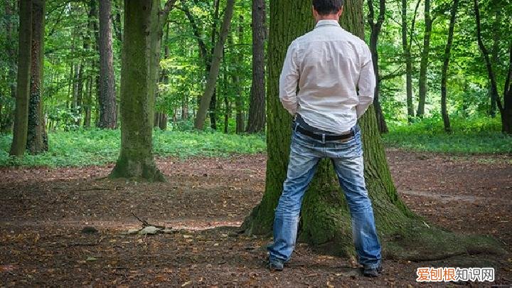 预防男人阳痿的食物有哪些？多吃鸡蛋对性功能有好处吗，吃鸡蛋对男性有什么好处