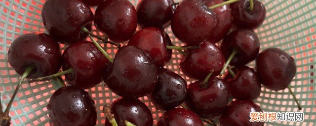 车厘子怎么看级别 车厘子如何看级别呢