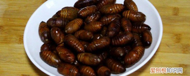 蚕蛹怎么做保存时间长 蚕蛹如何做保存时间长