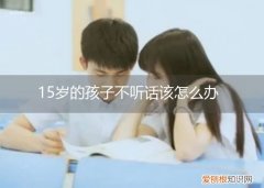 怎么治15岁孩子不听话 15岁的孩子不听话该怎么办