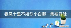 春风十里不如你里面的小白是谁演的 春风十里不如你小白哪一集被开除