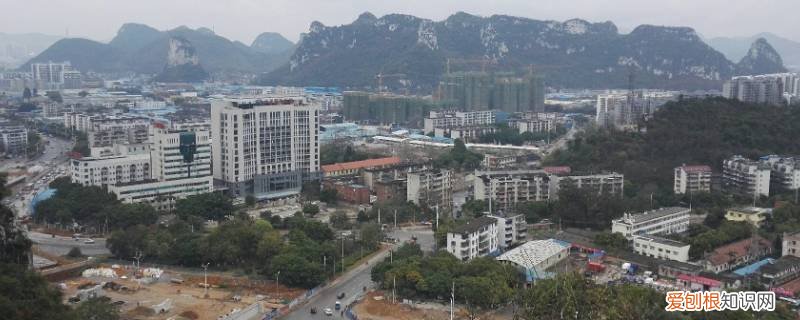 柳州鱼峰区社区街道办上班时间查询 柳州鱼峰区社区街道办上班时间