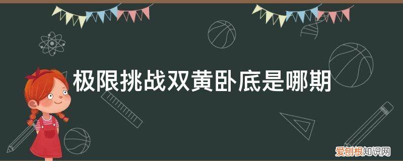 极限挑战20170903谁是卧底 极限挑战双黄卧底是哪期