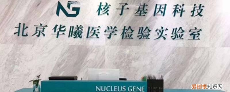 核子华曦桂林有分公司吗