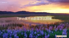 7岁小孩不合群是怎么回事 7岁小孩不合群是怎么回事