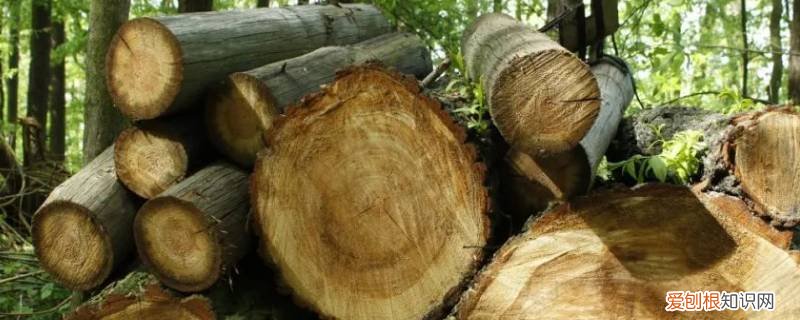 木材加工企业能源利用特点是什么 木材加工企业能源利用特点