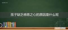 孩子缺少感恩心是什么原因 孩子缺乏感恩之心的原因是什么呢