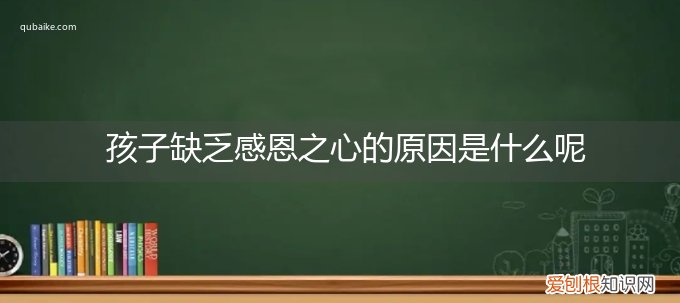 孩子缺少感恩心是什么原因 孩子缺乏感恩之心的原因是什么呢