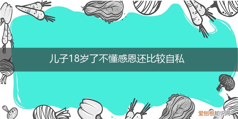 一个17岁的孩子不懂感恩,没有上进心,自私怎么办 儿子18岁了不懂感恩还比较自私