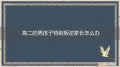 高二的男孩子特别叛逆家长怎么办呢 高二的男孩子特别叛逆家长怎么办