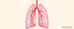 白肺是什么原因引起的 如何预防白肺