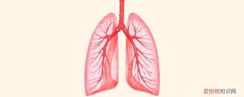 白肺是什么原因引起的 如何预防白肺