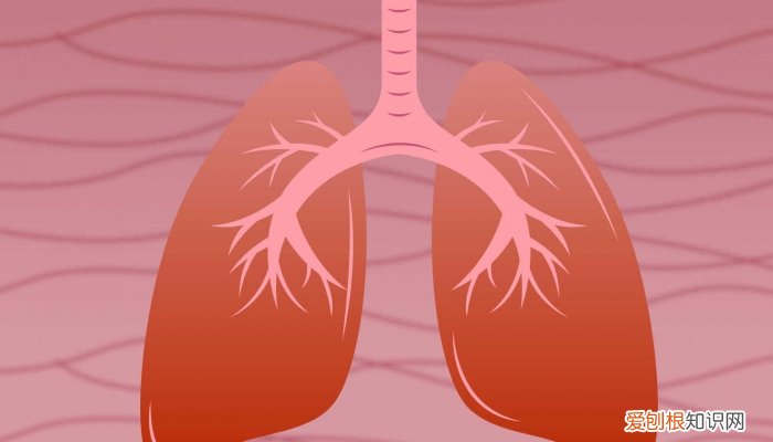 白肺是什么原因引起的 如何预防白肺