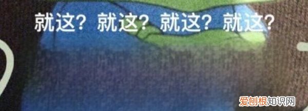 就这的意思是什么，就这和就这样意思一样的成语